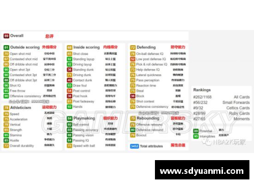 大巴NBA全面解析：球员、战术与赛季亮点详尽分析